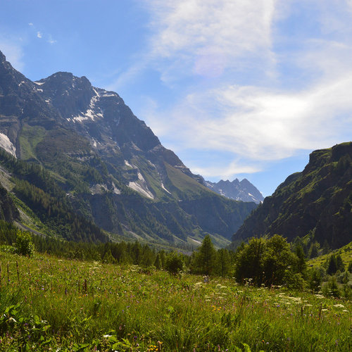 French Alps