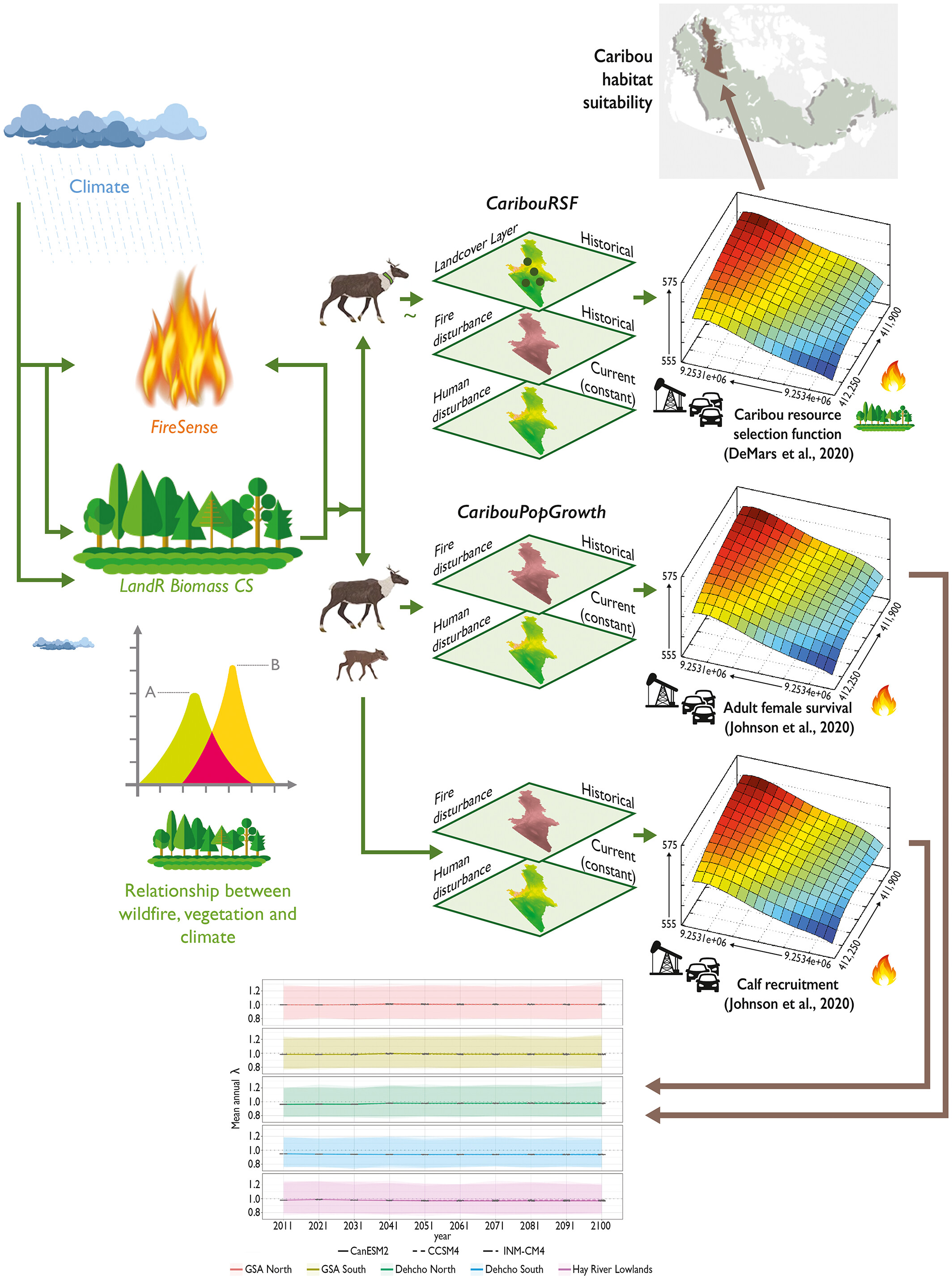 Climate‐informed Forecasts Reveal Dramatic Local Habitat Shifts and Population Uncertainty for Northern Boreal Caribou