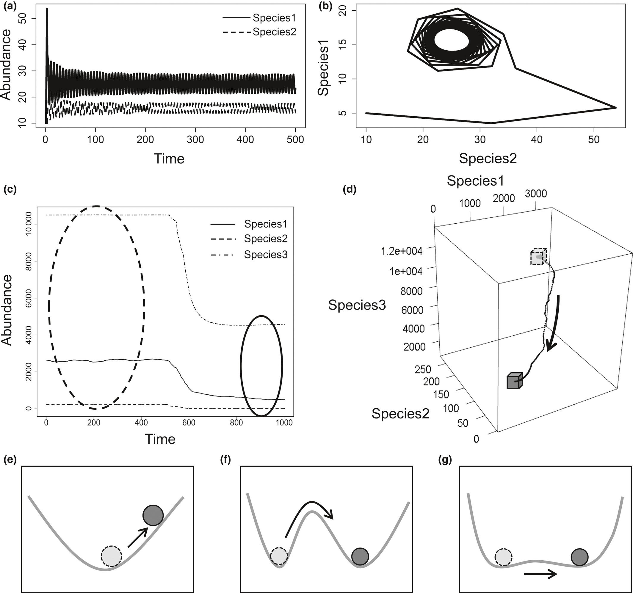 emphN-Dimensional Hypervolumes to Study Stability of Complex Ecosystems