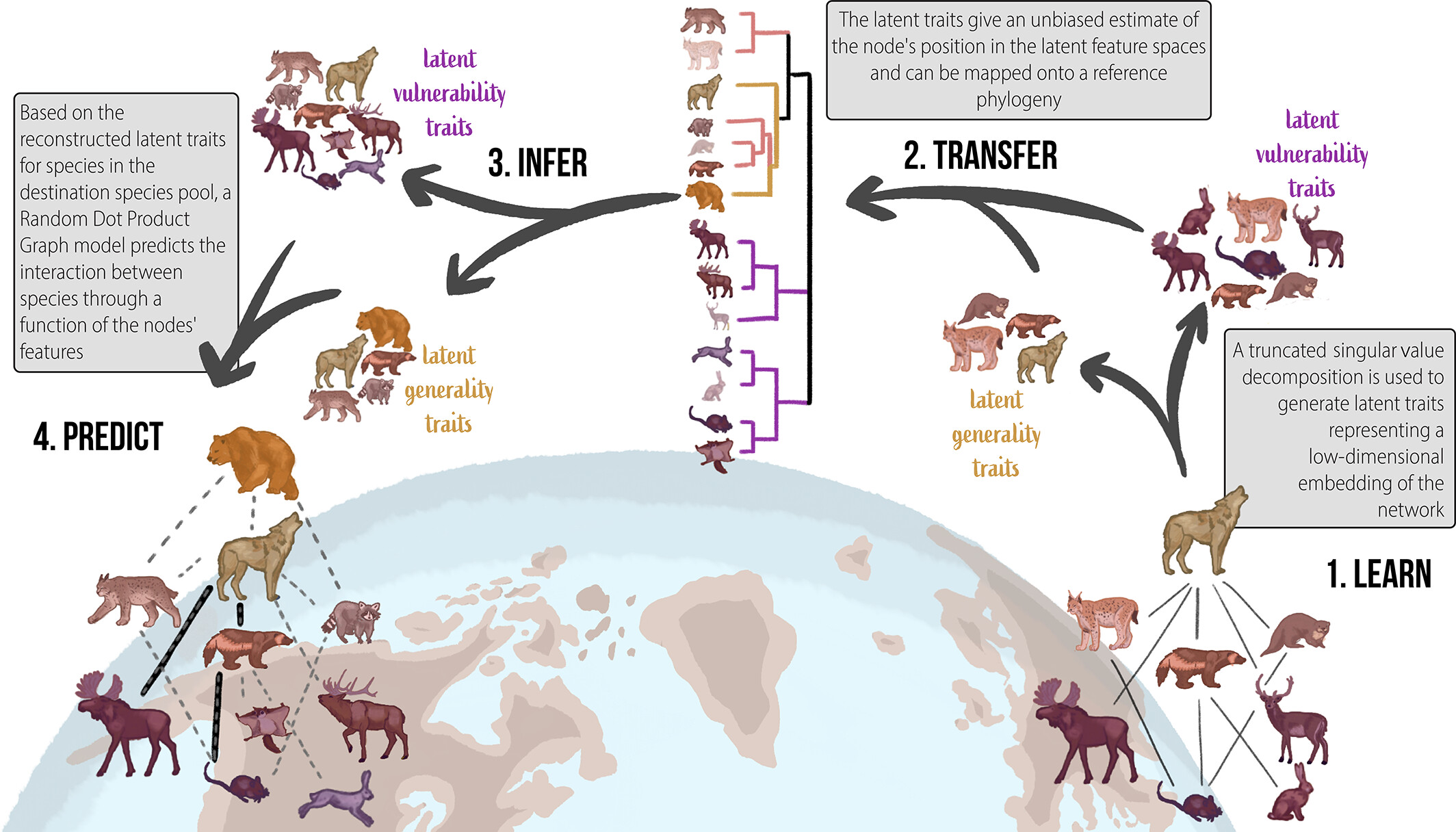 Food Web Reconstruction through Phylogenetic Transfer of Low‐rank Network Representation