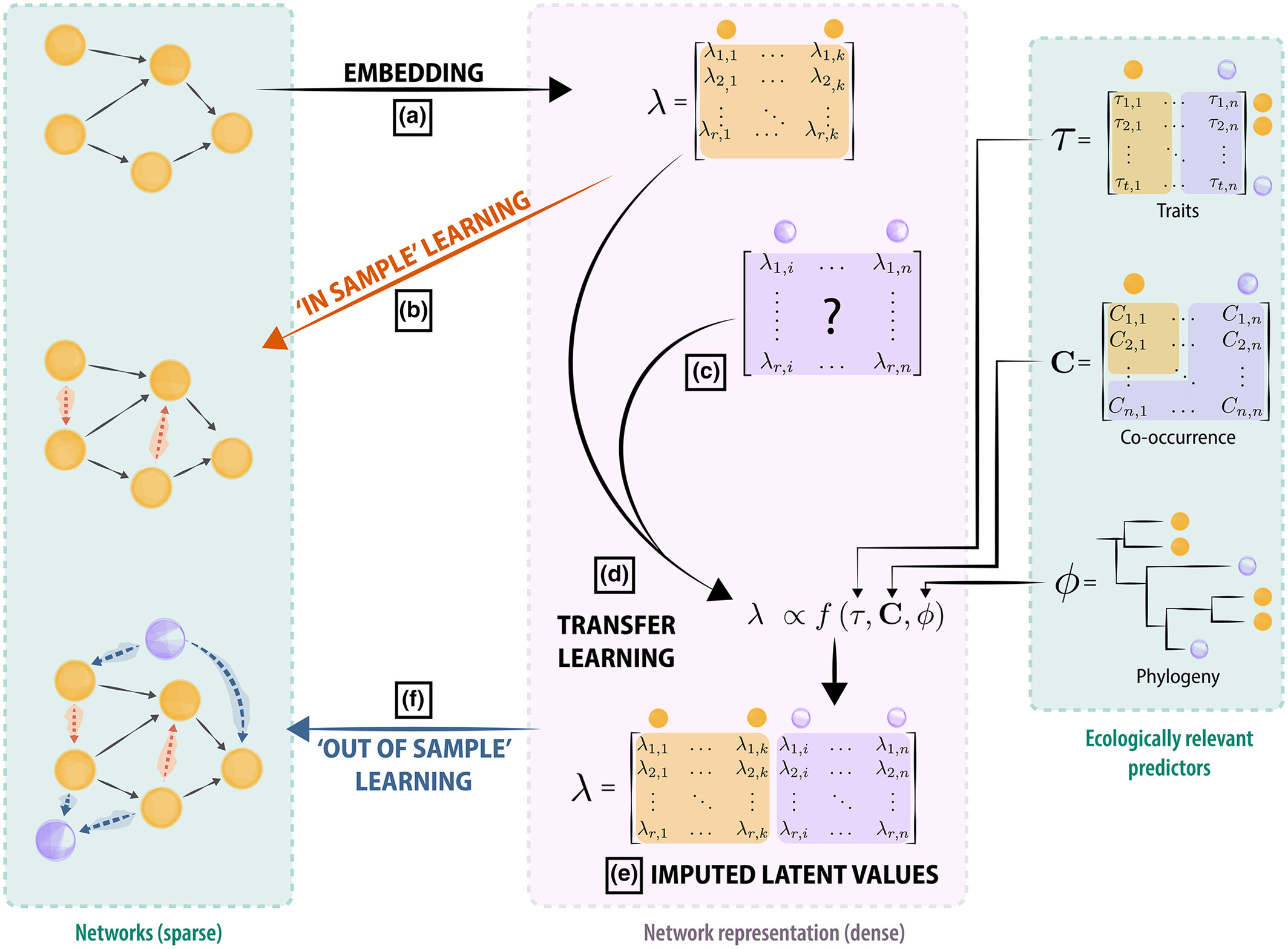 Graph Embedding and Transfer Learning Can Help Predict Potential Species Interaction Networks despite Data Limitations