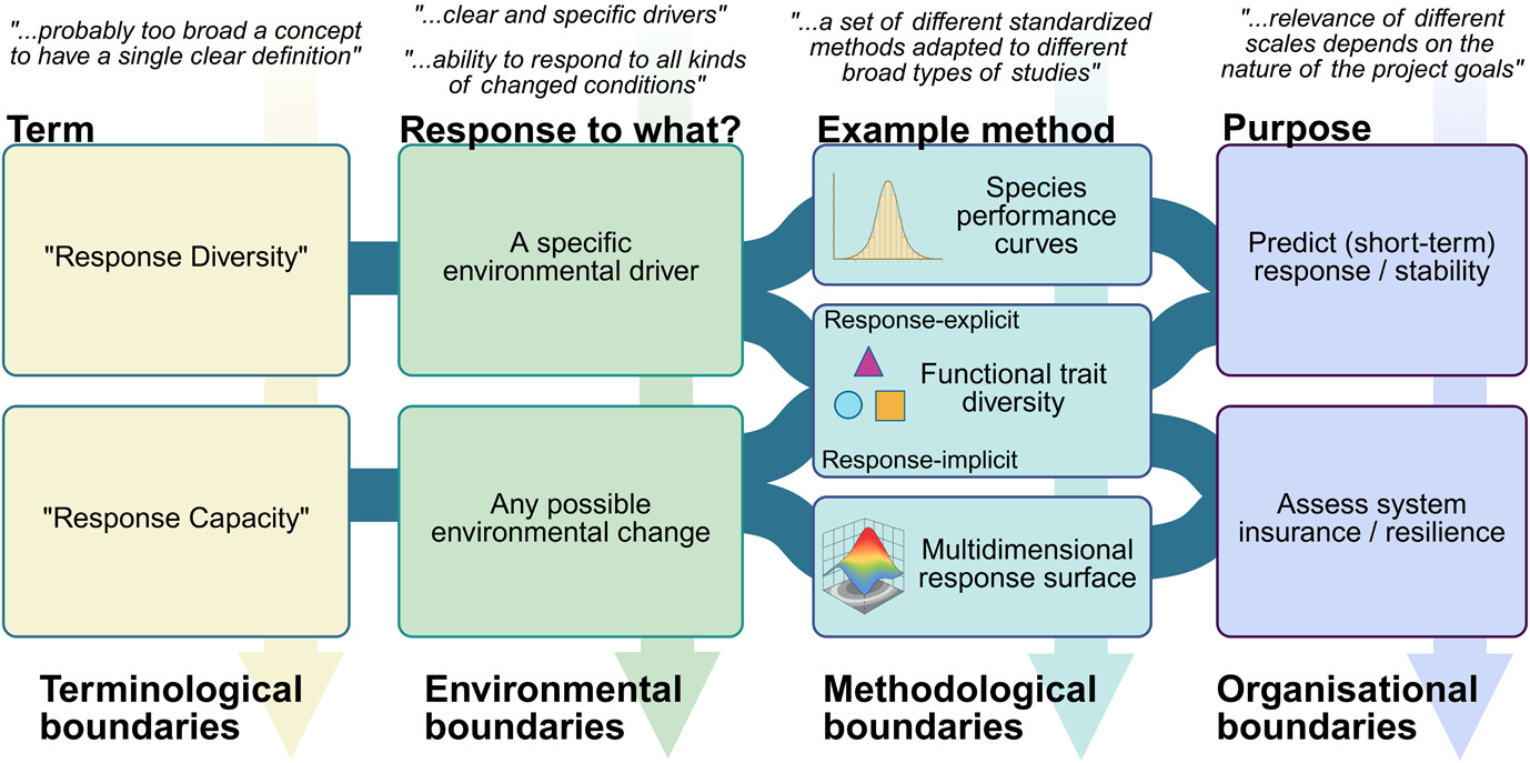 Expert-led priorities for a response diversity research agenda in ecology